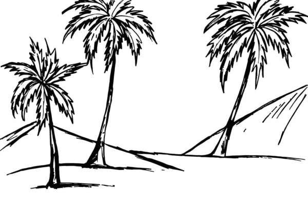 Palm Trees Beach Black Outline White Background — Stock Fotó