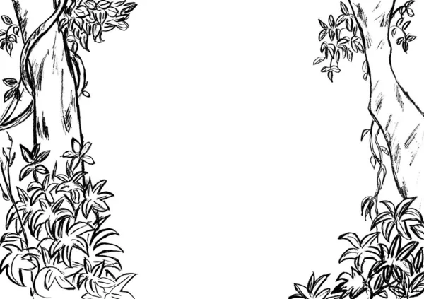Frame Tropical Plants Black Outline White Background — стоковое фото