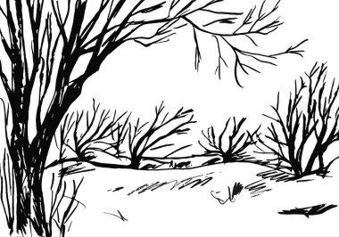 Beyaz arkaplanda siyah, çıplak ağaç dalları - grafik resim