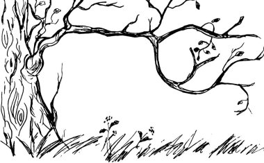  Yaşlı bir eğri büğrü ağacın ve otun siyah çizgisi.