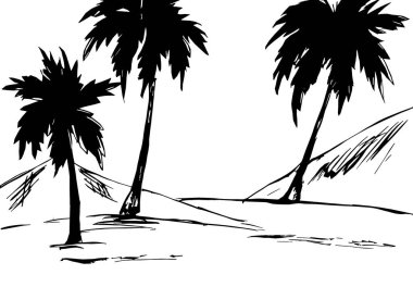 Palmiyeli bir manzaranın siyah beyaz görüntüsü