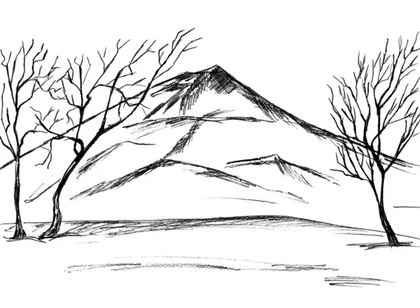 Auf Weißem Hintergrund Ein Schwarzer Umriss Eines Kahlen Baumes Und — Stockfoto