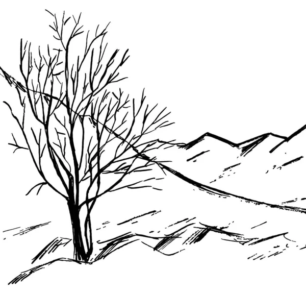 山中有光秃秃的树枝的景观 — 图库照片