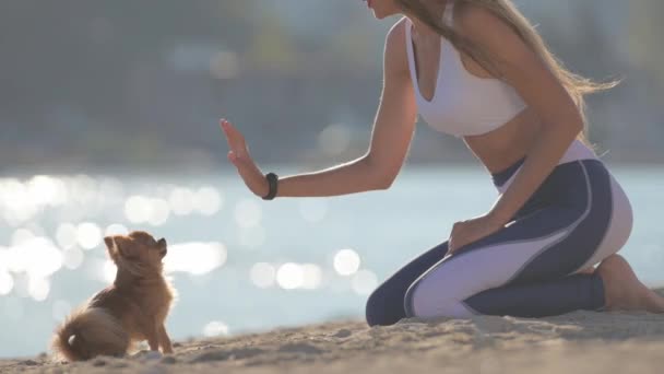 aktív csinos fiatal nő leggings ül a nyári tenger homokos strand alatt chihuahua játékos kutya képzés szabadtéri szabadidős sport tevékenység