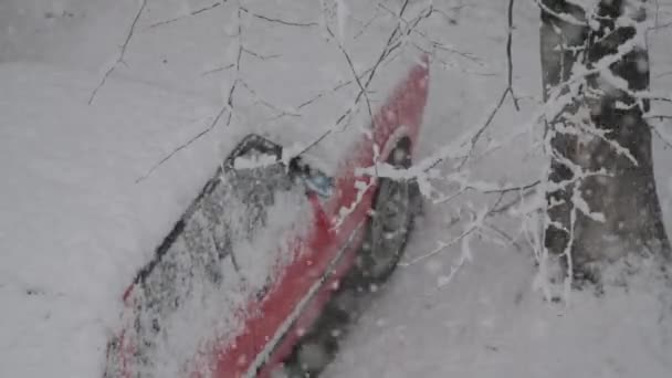 寒い冬の庭の駐車場の木々の下の赤い車に降る白い雪の天候環境車に焦点を当てる — ストック動画