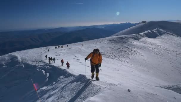 Adventure activity travel of group of sport people in warm clothing and ski poles climbing high snow alpine mountain — стоковое видео