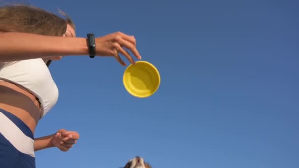 Outdoor obedience leisure training activity of sport beautiful young woman throwing yellow frisbee disc to jumping small chihuahua dog on summer blue sky background — Vídeo de Stock