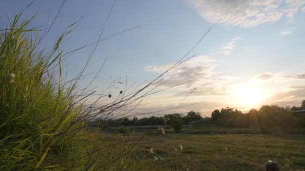 Sport man en ropa deportiva y casco saltando y montando en colinas de hierba en enduro moto cross country en cámara lenta al atardecer en zona rural — Vídeo de stock