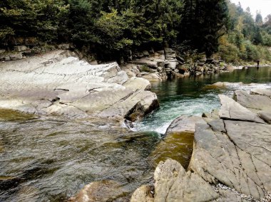 sonbahar ormanda güzel dağ manzara.