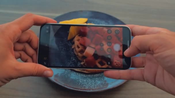 Kobieta Ręce robienie zdjęć jedzenia na smartfonie. Zbliżenie. Winobranie — Wideo stockowe