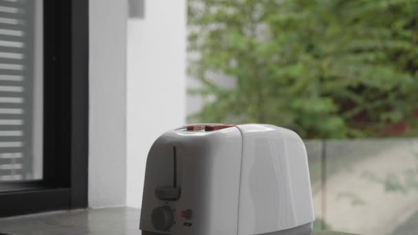 Gebratenes Toastbrot, das aus einem weißen modernen Toaster auftaucht. Niemand — Stockvideo