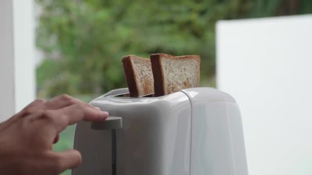 Brot in den Toaster geben. Nahaufnahme — Stockvideo