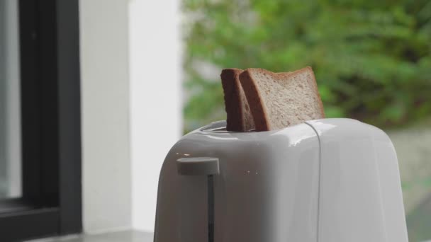 Brood in een broodrooster stoppen. Ontbijt concept — Stockvideo