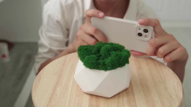 Блогер фотографує на смартфоні гіпсовий горщик з зеленим мохом вдома. Макрозйомка . — стокове відео