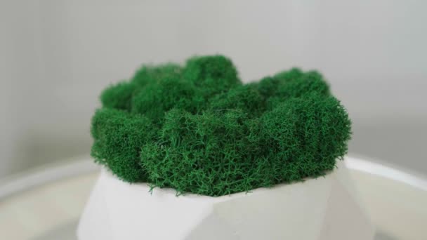 屋外の背景に緑の苔が回転する石膏鍋 — ストック動画
