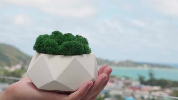 Держите пластырь с зеленым мхом в руке природы фон — стоковое видео