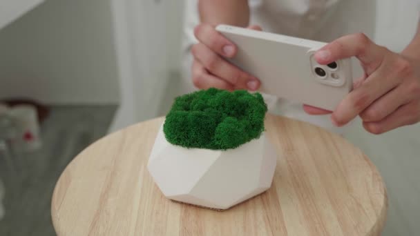 Blogger fotit na smartphone sádrový hrnec se zeleným mechem doma. Natáčení maker. — Stock video