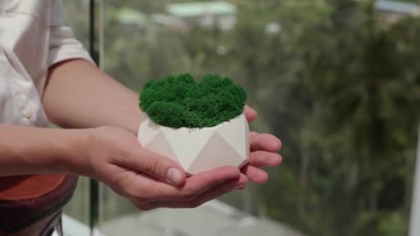 Hold plaster pot with green moss in hand of nature background — Stock Video