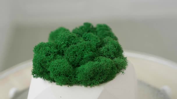 绿色苔藓在室外背景下旋转的石膏罐 — 图库视频影像