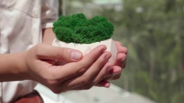 Kız Doğal Saksılarla Evde Dekorasyon ve Rahatlık Yapıyor. Bahçe Konsepti