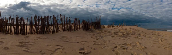 Panorama Van Takken Het Strand Als Voorruit Duinen Maken Met — Stockfoto