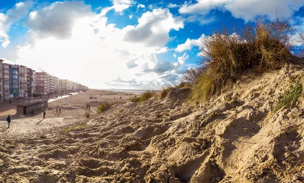Highangle Άποψη Από Ένα Αμμόλοφο Πριονίδι Στην Παραλία Του Koksijde — Φωτογραφία Αρχείου