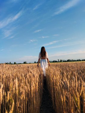 Ukrayna 'da bir kız arpa ve buğday arasında zarif bir şekilde yürür. Ukrayna doğasının güzelliğinin tadını çıkarıyor.