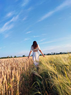 Ukrayna 'da bir kız arpa ve buğday arasında zarif bir şekilde yürür. Ukrayna doğasının güzelliğinin tadını çıkarıyor.
