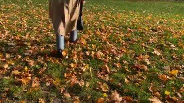 Sonbahar portakal yaprağı ve çimenlerde yürüyen kişi, parlak renkler ve güneş ışığı 4K