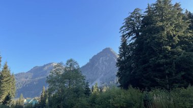 Şelale dağları yol manzarası