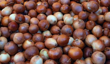 Gerçek yemek arka planda: kahverengi ve sarı soğanlar. Yatay çekim. Kapat.