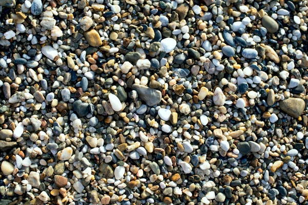 Real Natural Background Pile Shingles Grey Brown White Pebbles — Stock Photo, Image