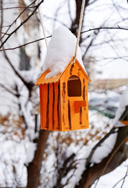 Jasně Oranžové Domácí Krmivo Pro Ptáky Sněhovou Čepicí Zavěšenou Stromě — Stock fotografie