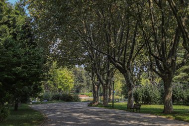 Parkın güzel manzarası