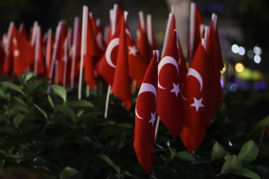Kanada bayrağını tutan bir elin yakınına.