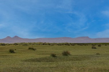 Çimen tarlası ve bulutlu gökyüzü olan güzel bir manzara.