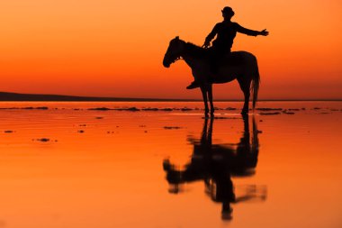 Gün batımında sahilde ata binen bir adamın silueti.
