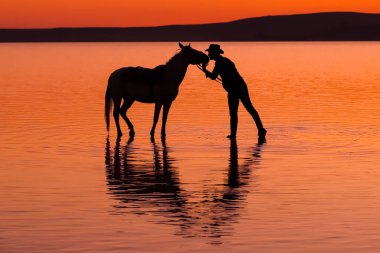 Güzel genç adam sahilde ata biniyor.