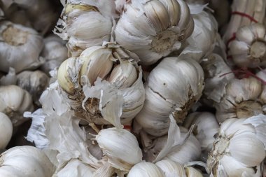 Taze taze organik sarımsak, sağlıklı beslenme, yakın çekim, üst görünüm.