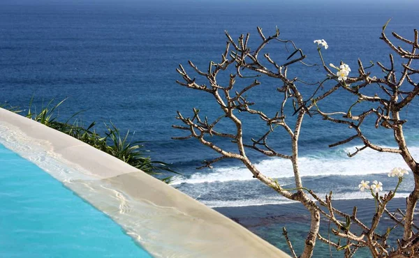Hint Okyanusu 'nun havuz kenarından görünüşü Ungasan, Bali' de bir tatil köyünde.