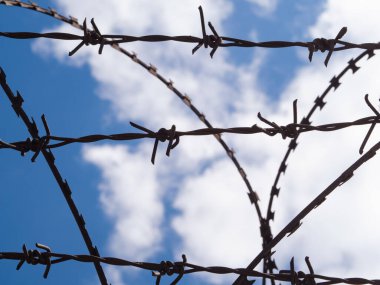 Soykırım kurbanları. Çit toplama kampında. Güneşli bir günde paslı dikenli tel örgü.