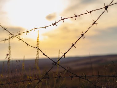 Kırsal bir arka planda dikenli teller. Yahudi soykırımı kavramı.
