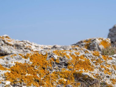 Ürün sunum podyumu doğada, DOF gökyüzü arka planında sallanıyor. Kozmetik tanıtımı için yayalar.