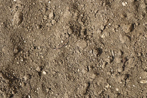 Draufsicht Braune Bodenbeschaffenheit — Stockfoto