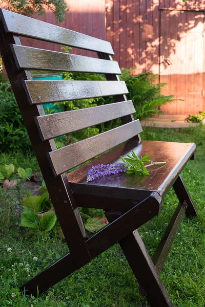 Ciemna drewniana ławka w ogrodzie, ławka ogrodowa — Zdjęcie stockowe