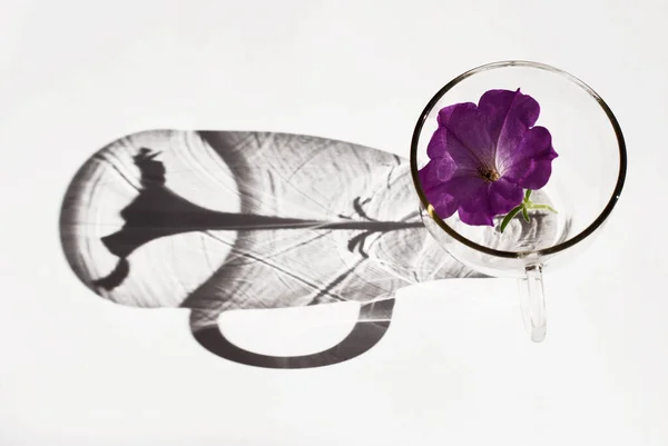 bir çiçeğin gölgesi bardakta