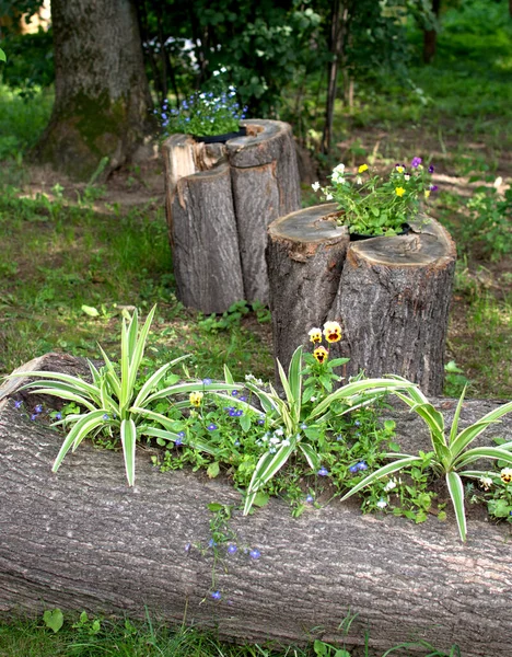 Yeşil çiçekler bir ağacın gövdesine dikilir.