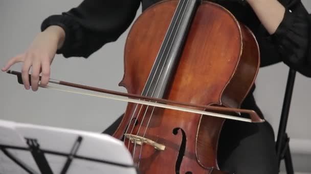 Een meisje dat cello speelt. Een jong meisje speelt cello in het donker. Handen op cello. — Stockvideo