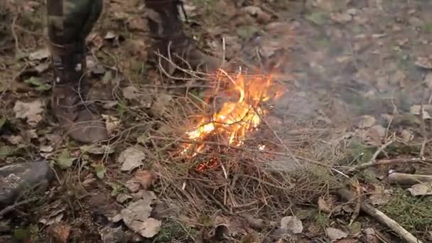 Un chasseur dans les bois allume un feu. Allumez un feu pour cuisiner dans les bois sur le bûcher. Mains masculines font un feu pour le chauffage et la cuisine dans la forêt sauvage. — Video