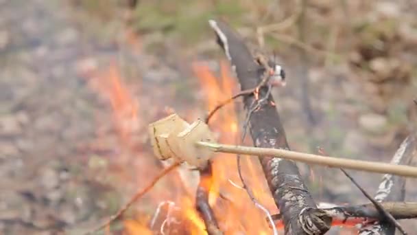 Smažit jídlo nad ohněm v lese. Detailní záběr smažené slaniny na dřevěné tyčce nad ohněm v lese na pikniku. Sádlo na ohni pod širým nebem — Stock video